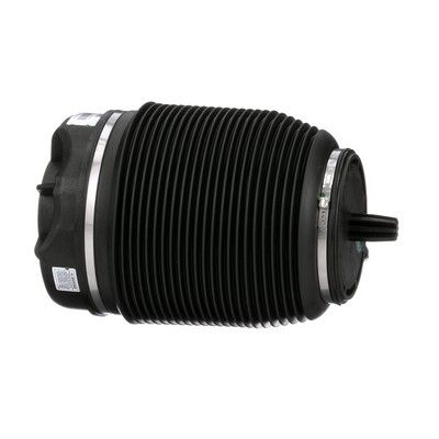 LUFTFEDER FAHRWERK Arnott A2960 17