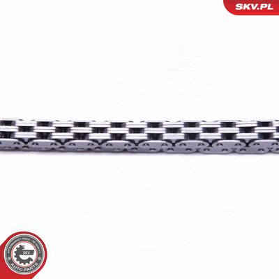 CHIT LANT DE DISTRIBUTIE ESEN SKV 21SKV160 2