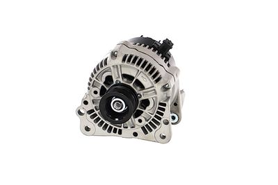GENERATOR / ALTERNATOR REMANTE 011003000195R 61