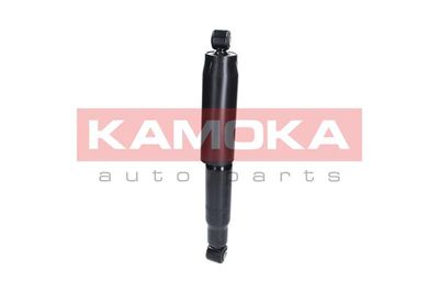 Shock Absorber 2000887