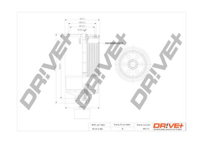 Bränslefilter Dr!ve+ DP1110.13.0261