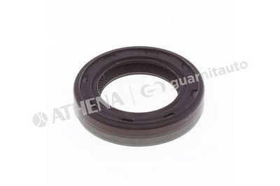 SIMERING ARBORE COTIT