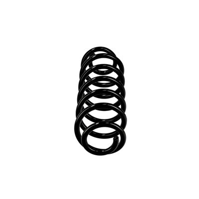 ARC SPIRAL EIBACH R10122 1