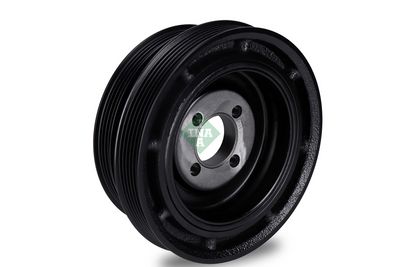 FULIE CUREA ARBORE COTIT Schaeffler INA 544003510 1