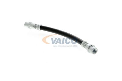 FURTUN FRANA VAICO V104136 17