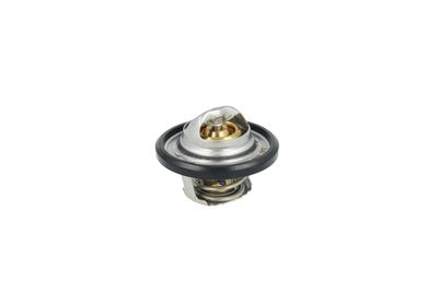 TERMOSTAT LICHID RACIRE NRF 725544 17