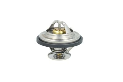 TERMOSTAT LICHID RACIRE NRF 725478 29