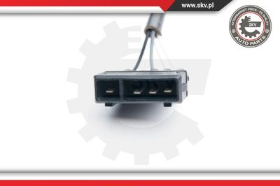 Лямбда-зонд ESEN SKV 09SKV589 для VW KAEFER