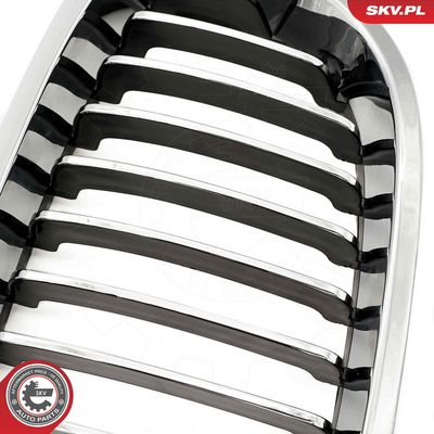 GRILA RADIATOR ESEN SKV 66SKV070 4