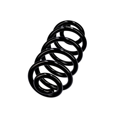 ARC SPIRAL EIBACH R10553 14