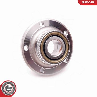 SET RULMENT ROATA ESEN SKV 29SKV016 3