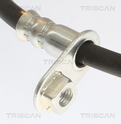 FURTUN FRANA TRISCAN 815010144 3