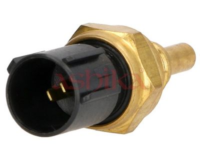 Sensor, Kühlmitteltemperatur