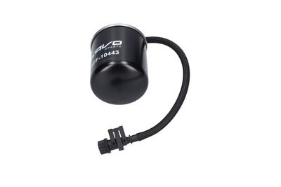 Kavo Parts Kuro filtras