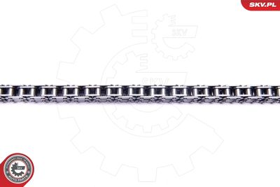 Timing Chain Kit 21SKV111