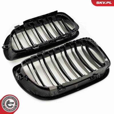 GRILA RADIATOR ESEN SKV 66SKV081 4