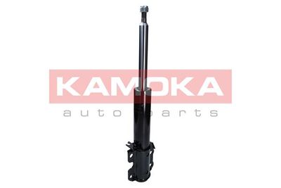 Shock Absorber 2000475