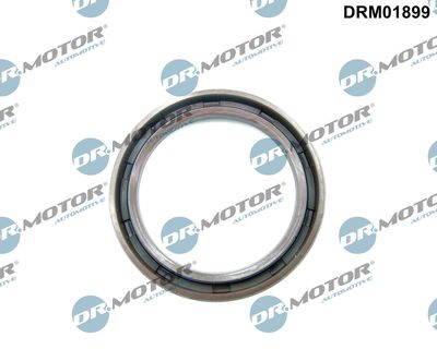 Shaft Seal, crankshaft DRM01899