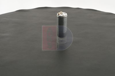TROCKNER KLIMAANLAGE AKS DASIS 800276N 12