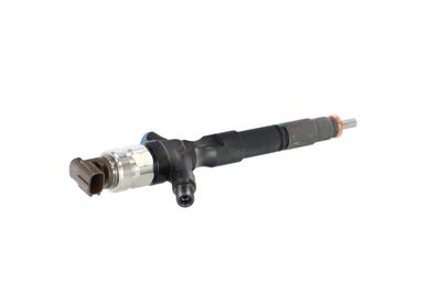 INJECTOR REMANTE 002003002073R 36