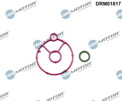 Sada těsnění, chladič oleje LIZARTE DRM01817