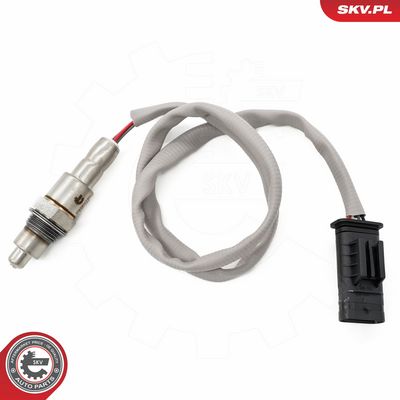 4 Artikelbild