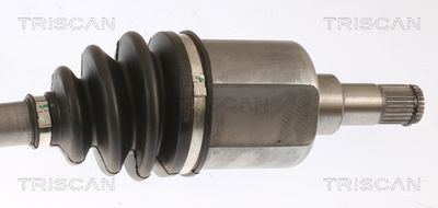 PLANETARA TRISCAN 854016638 2