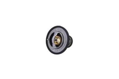 TERMOSTAT LICHID RACIRE KAMOKA 7710221 1