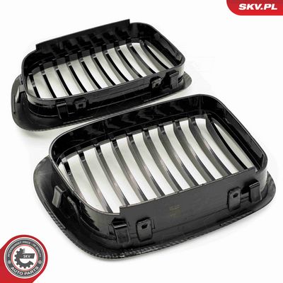 GRILA RADIATOR ESEN SKV 66SKV065 3
