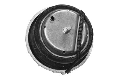 LAGERUNG MOTOR TEDGUM TED46098