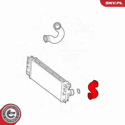 FURTUN EAR SUPRAALIMENTARE ESEN SKV 54SKV193 3
