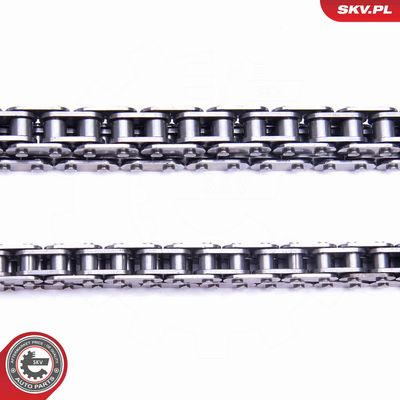 CHIT LANT DE DISTRIBUTIE ESEN SKV 21SKV195 2