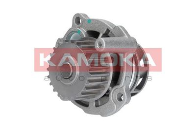 Water Pump, engine cooling T0029