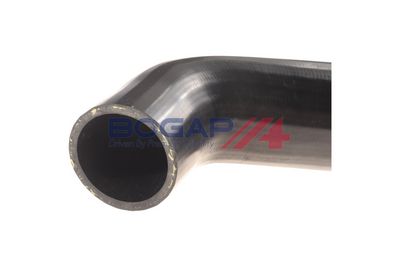 FURTUN EAR SUPRAALIMENTARE BOGAP B1711131 4