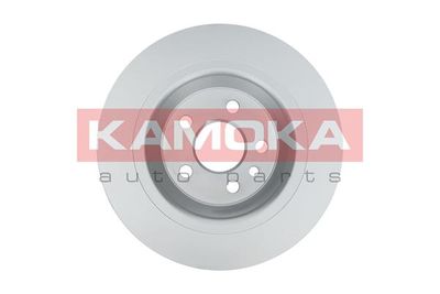 1031013 KAMOKA Тормозной диск