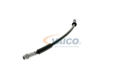 FURTUN FRANA VAICO V461009 26