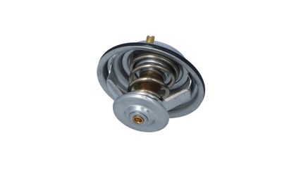 TERMOSTAT LICHID RACIRE NRF 725075 29