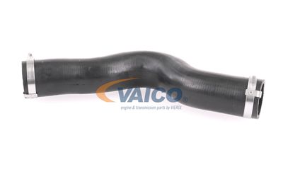 FURTUN EAR SUPRAALIMENTARE VAICO V401448 14