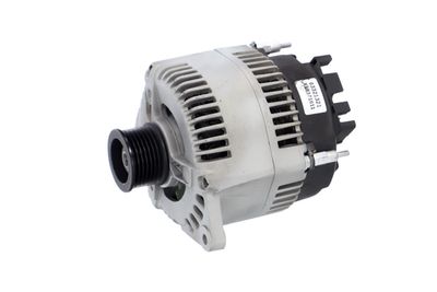 GENERATOR / ALTERNATOR REMANTE 011003000106R 8