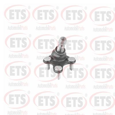 Шарнири ETS 31.BJ.642