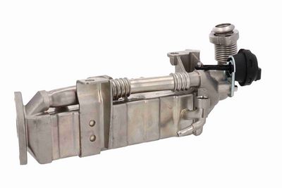 RADIATOR RECIRCULARE GAZE DE ESAPAMENT VEMO V20630062 2