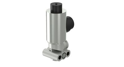 Magnetklapp