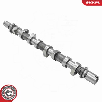 AX CU CAME ESEN SKV 80SKV055 1