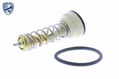 TERMOSTAT LICHID RACIRE