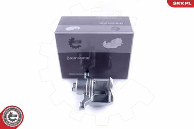 Brake Caliper 50SKV843