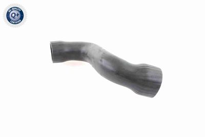 FURTUN EAR SUPRAALIMENTARE VAICO V103826 6