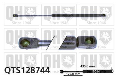 Газовая пружина, заднее стекло QUINTON HAZELL QTS128744 для HYUNDAI SANTA FE