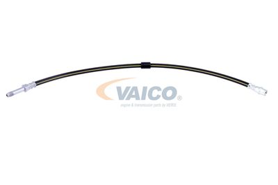 FURTUN FRANA VAICO V300547 11