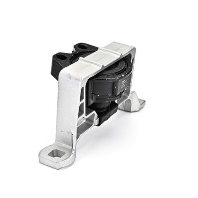 SUPORT MOTOR DELPHI TEM265 21