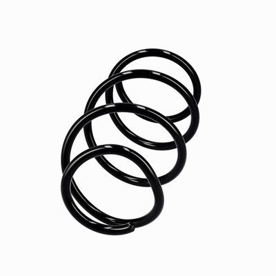 ARC SPIRAL EIBACH R10546 2